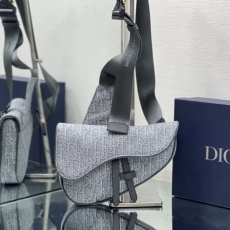 Christian Dior Saddle Bags